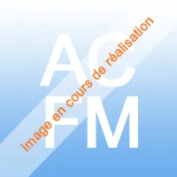 Climatiseurs réversibles inverter bisplits Airwell pour 4 pièces.